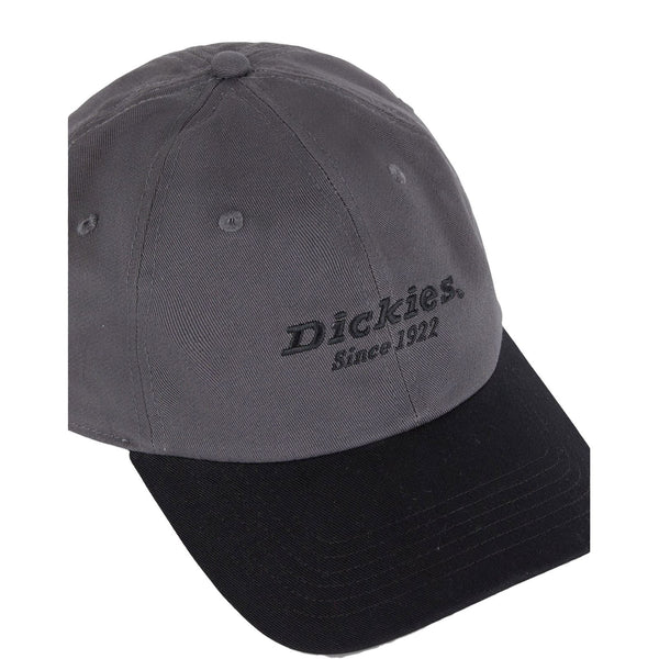 Dickies Everyday Dickies Twill Cotton  Cap