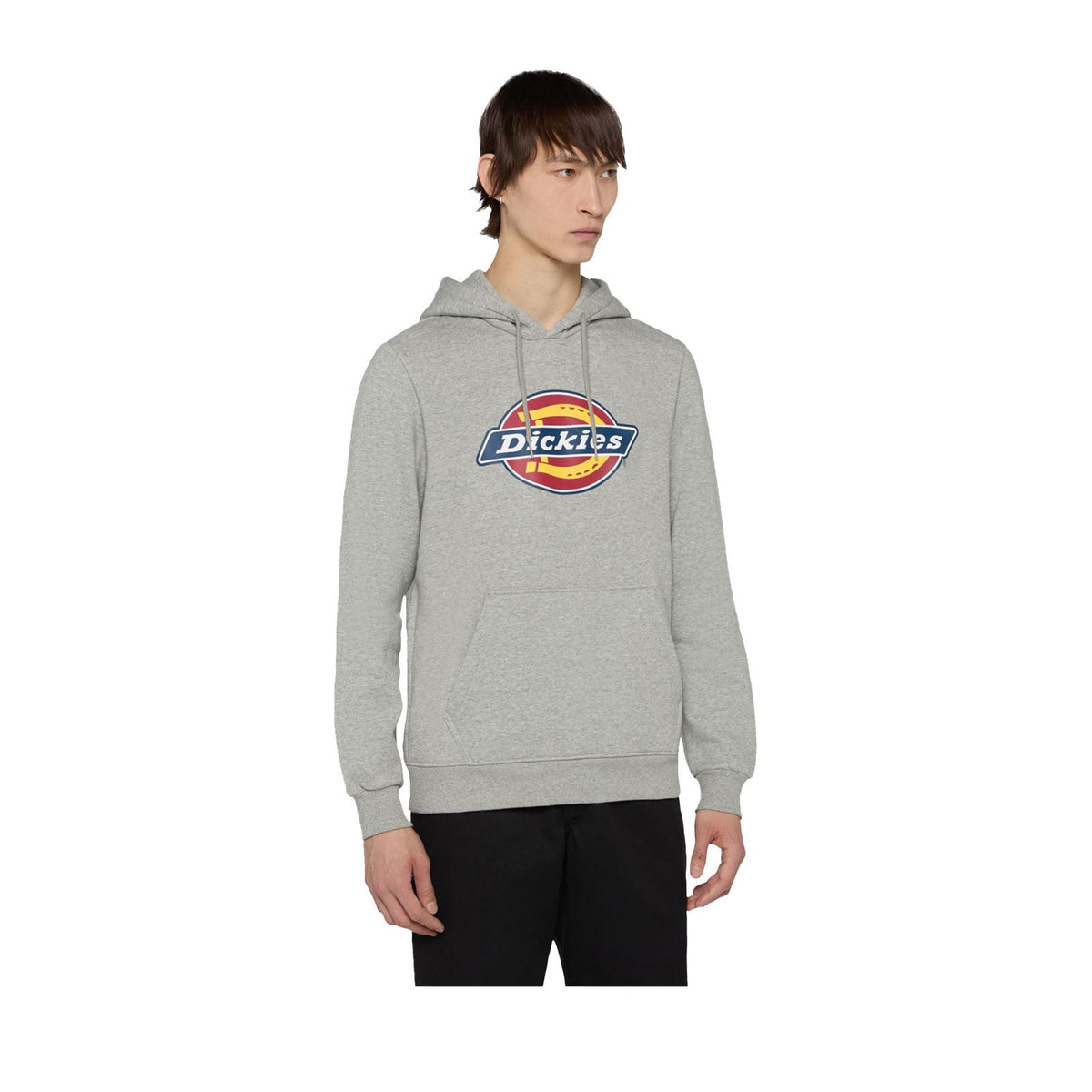 Dickies Icon Logo Hoodie